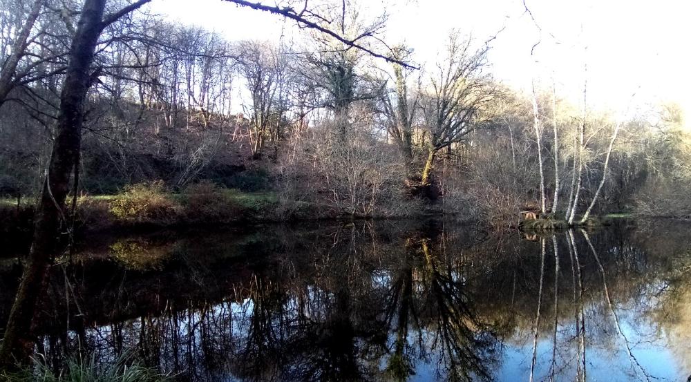 Priziac Vente Forêts